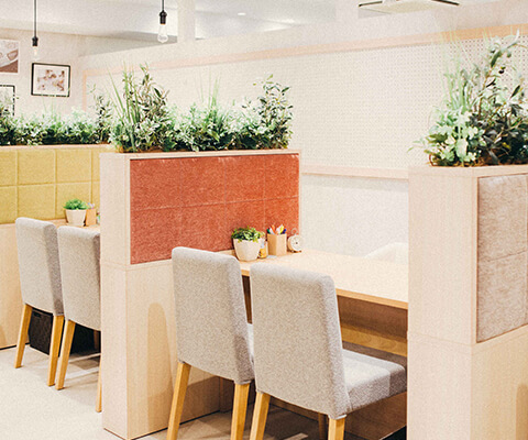 ゼクシィ保険ショップ 熊本店